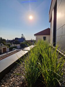 Dachbegrünung Vordach