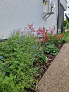 WhatsApp Image 2026-02-16 at 14.38.44 (1)