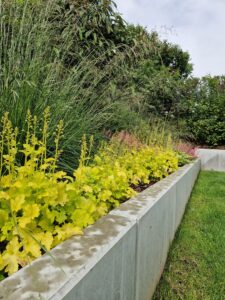 WhatsApp Image 2026-02-16 at 14.38.44 (2)