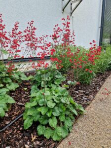 WhatsApp Image 2026-02-16 at 14.38.44