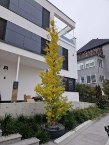 WhatsApp Image 2026-02-16 at 14.38.45 (1)