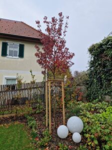 WhatsApp Image 2026-02-16 at 14.38.45 (2)