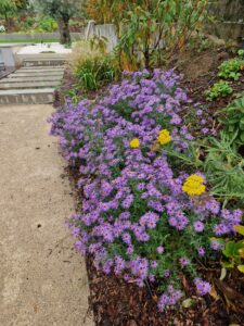 WhatsApp Image 2026-02-16 at 14.38.45 (3)