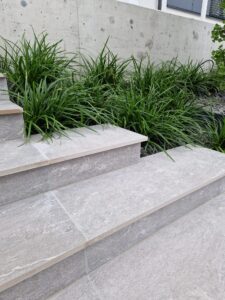 WhatsApp Image 2026-02-16 at 14.38.45 (4)