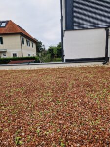 WhatsApp Image 2026-02-16 at 14.38.45 (6)